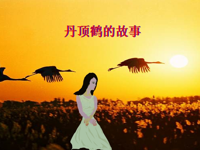 丹顶鹤的故事