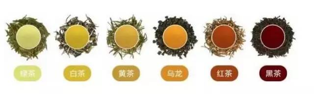 喝茶要知道的事
